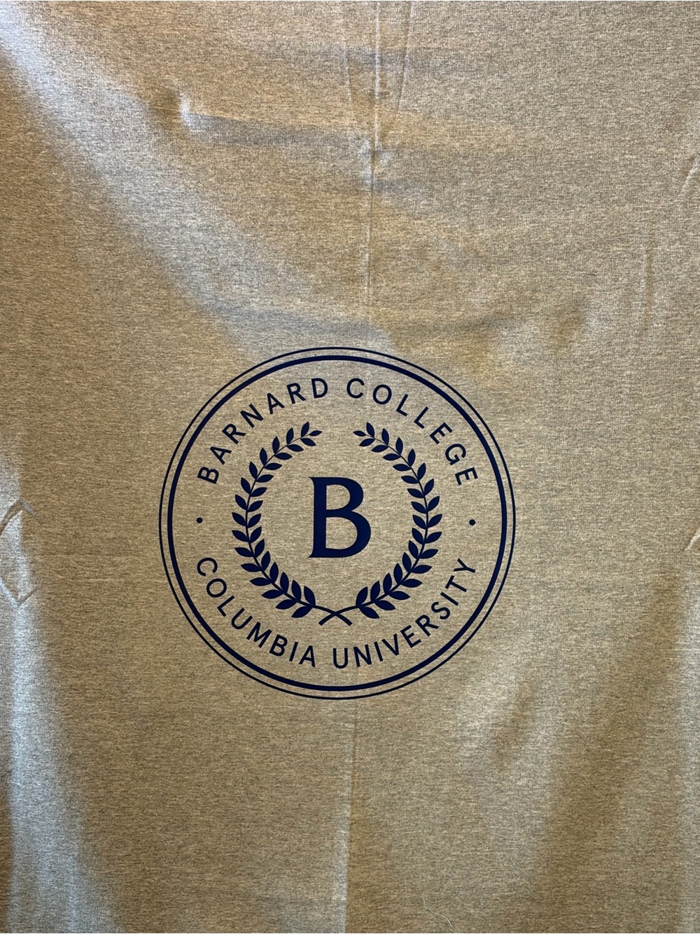 Barnard College Columbia University fleece blanket Gray